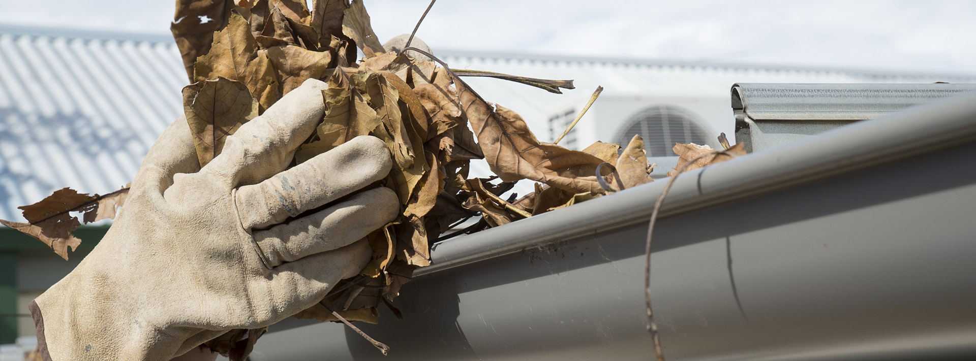 Why should I get my roof gutters cleaned?