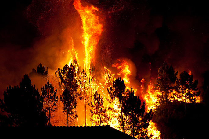 Bush fires can be extremely destructive. Are you adequately protected?